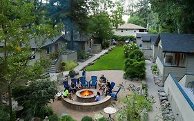 Cottages On River Road